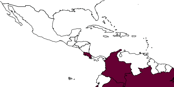 map of Brachygastra albula     Richards, 1978
